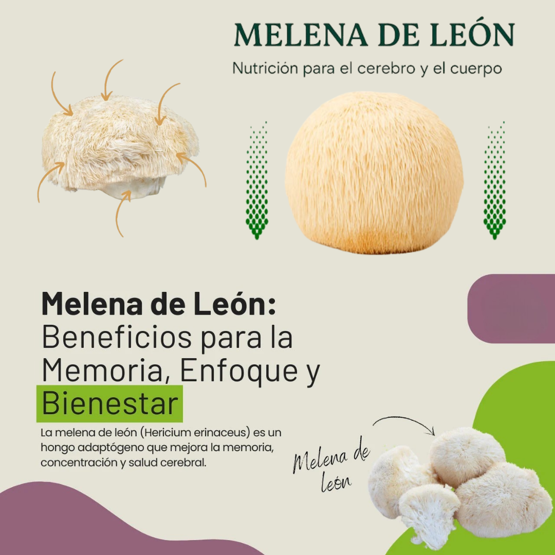 🍄MELENA DE LEÓN🧠⚡