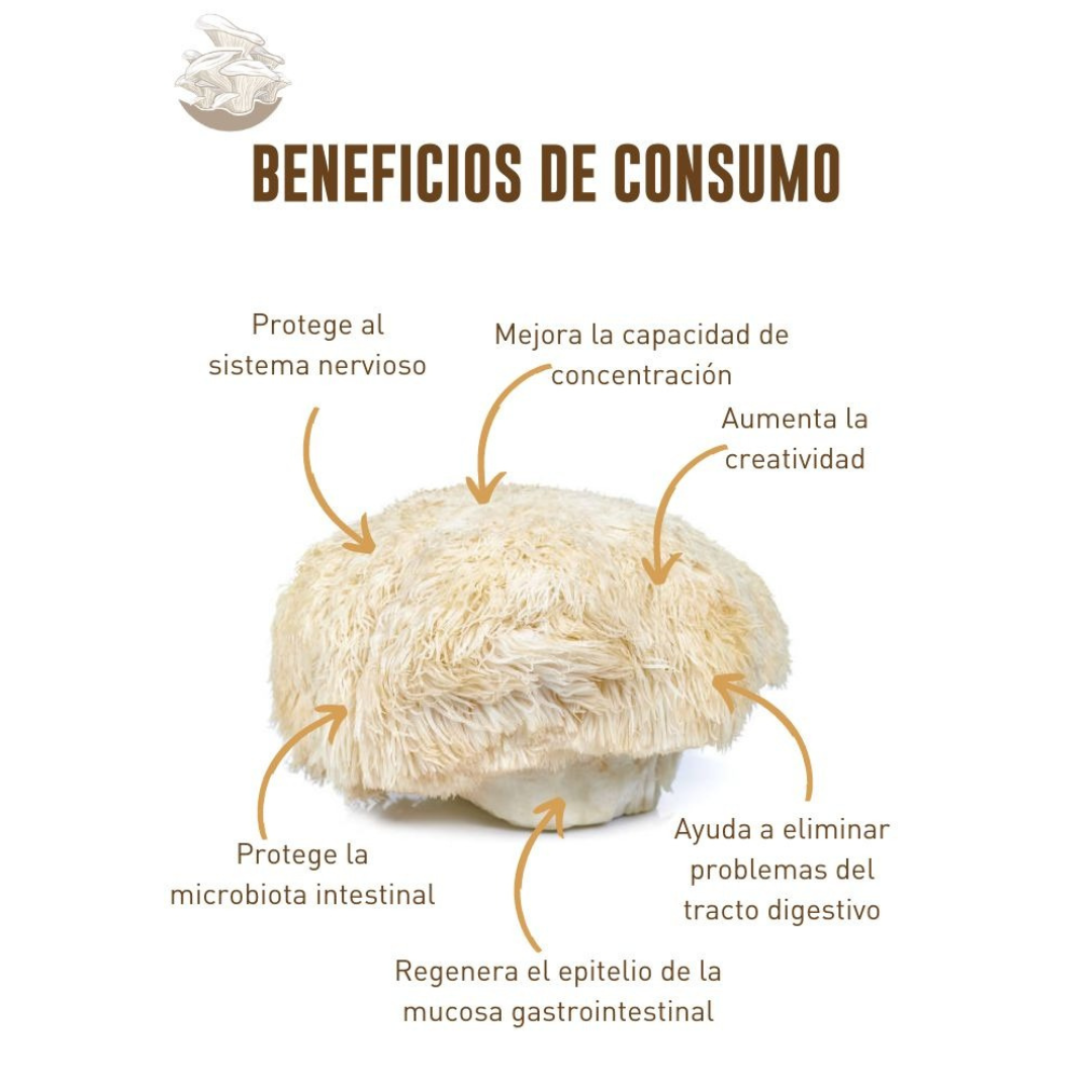 🍄MELENA DE LEÓN🧠⚡