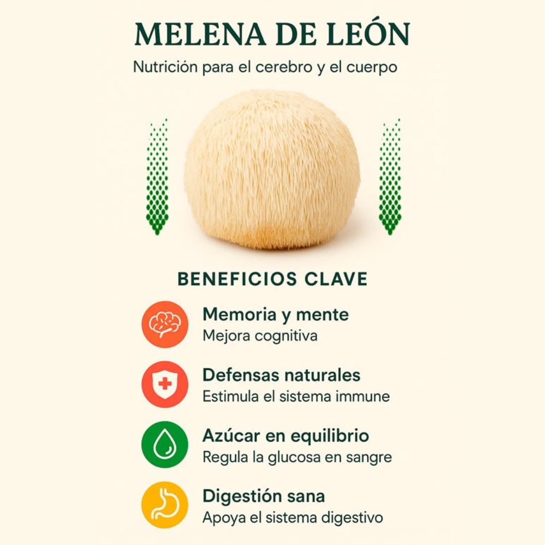 🍄MELENA DE LEÓN🧠⚡