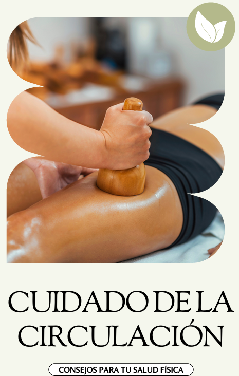 Libro Cuidado de la Circulación